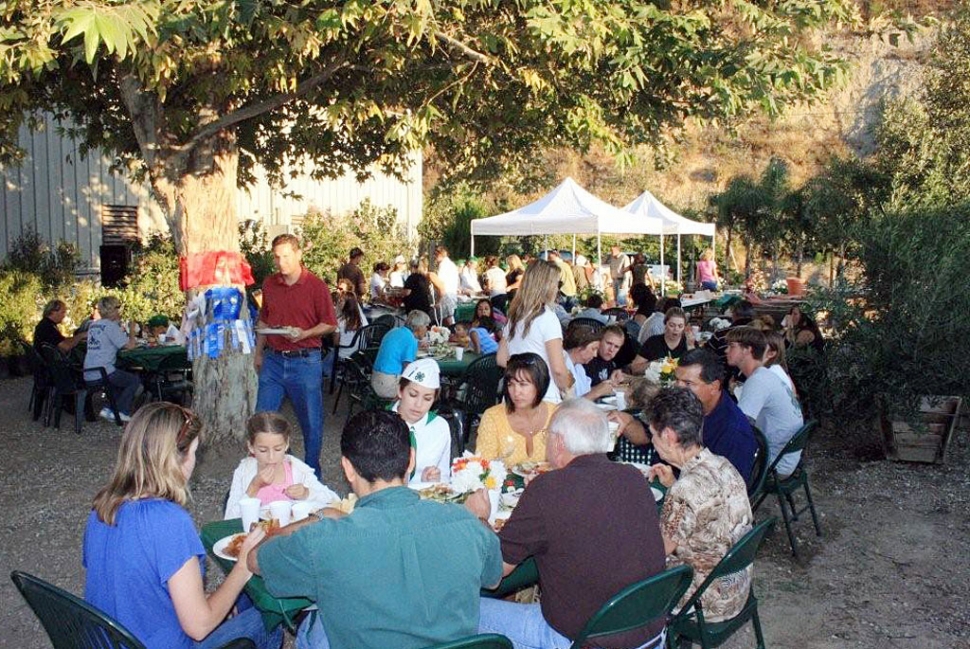 A hungry crowd enjoys a beautiful evening under the sycamore tree at Otto & Sons Nursery to honor Bardsdale 4-H fair buyers and members achievements.
