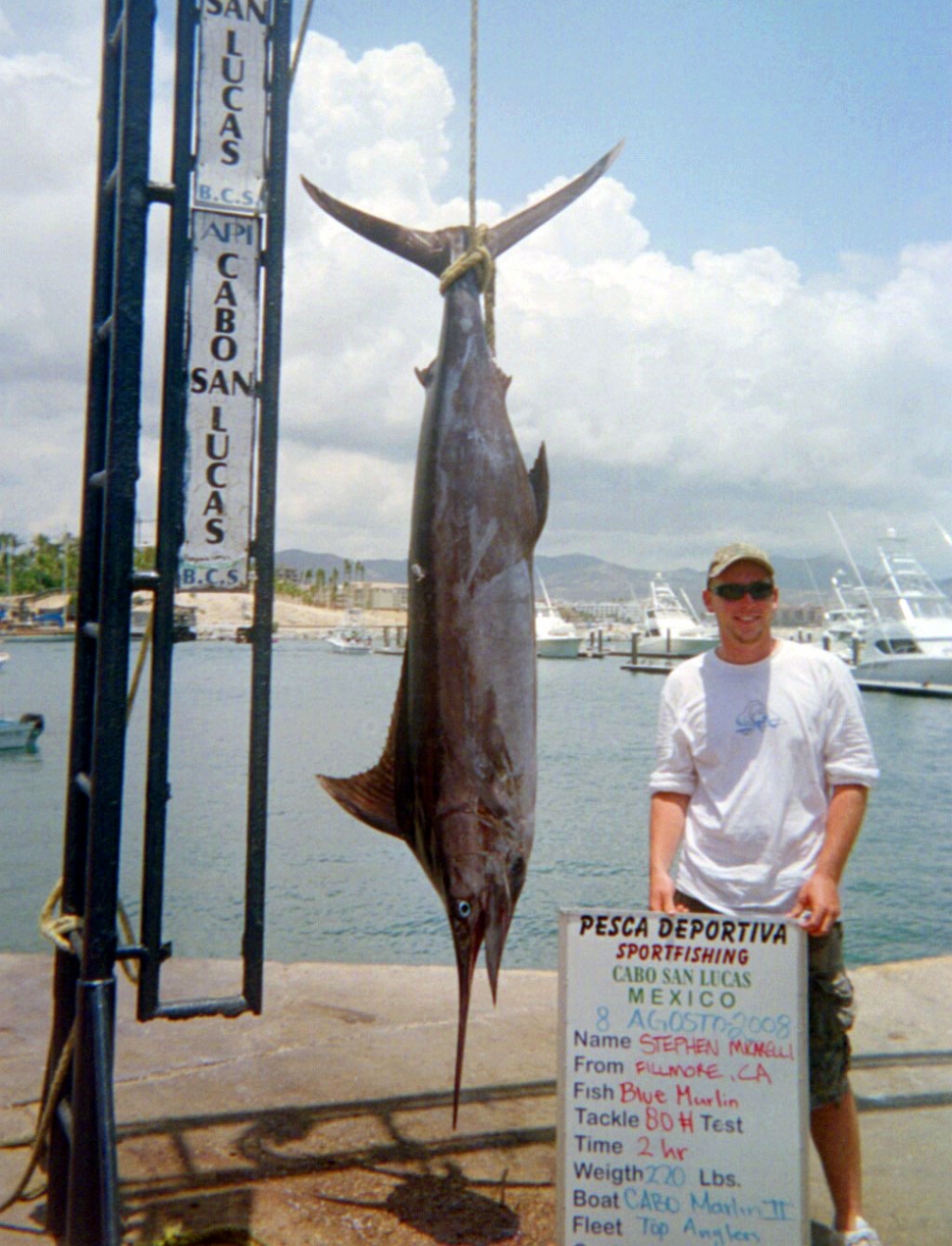 This 220 lb. Blue Marlin was caught by Fillmore native Steve Micarelli off the coast of Cabo San Lucas while on vacation August 8, 2008 with no help from Rex Wilson or Ray Hoover.