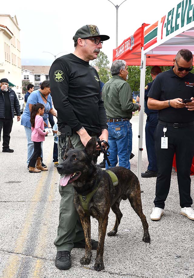 The Sheriff’s K-9 Unit was established in May 1986 with one dog and a deputy handler. It has since grown to seven full-time Patrol K-9 Teams.  The teams are stationed in Ventura, Fillmore, Ojai, Camarillo, Moorpark, Thousand Oaks, and the remote region in northern Ventura County known as Lockwood Valley. All Patrol K-9 Teams are cross-trained in narcotics detection and are on call 24 hours a day. Photo credit Angel Esquivel.