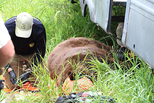 Photo credit Angel Esquivel