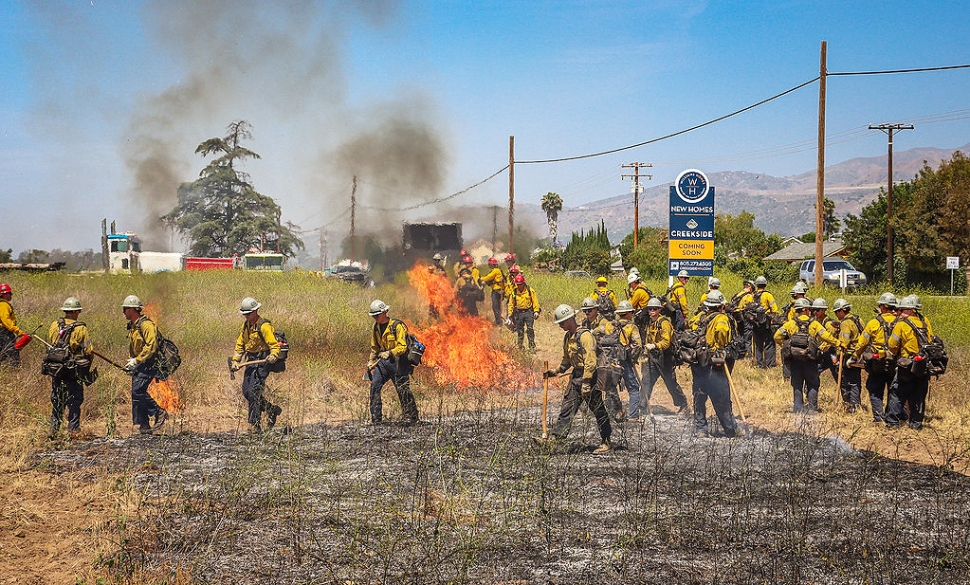 Fillmore Fire Department was one of several agencies that took part in a controlled burn on Thursday, June 12th. Photo credit Angel Esquivel. See more photos online.

VCFD & LAFD crews in training. Photo credit Angel Esquivel.


