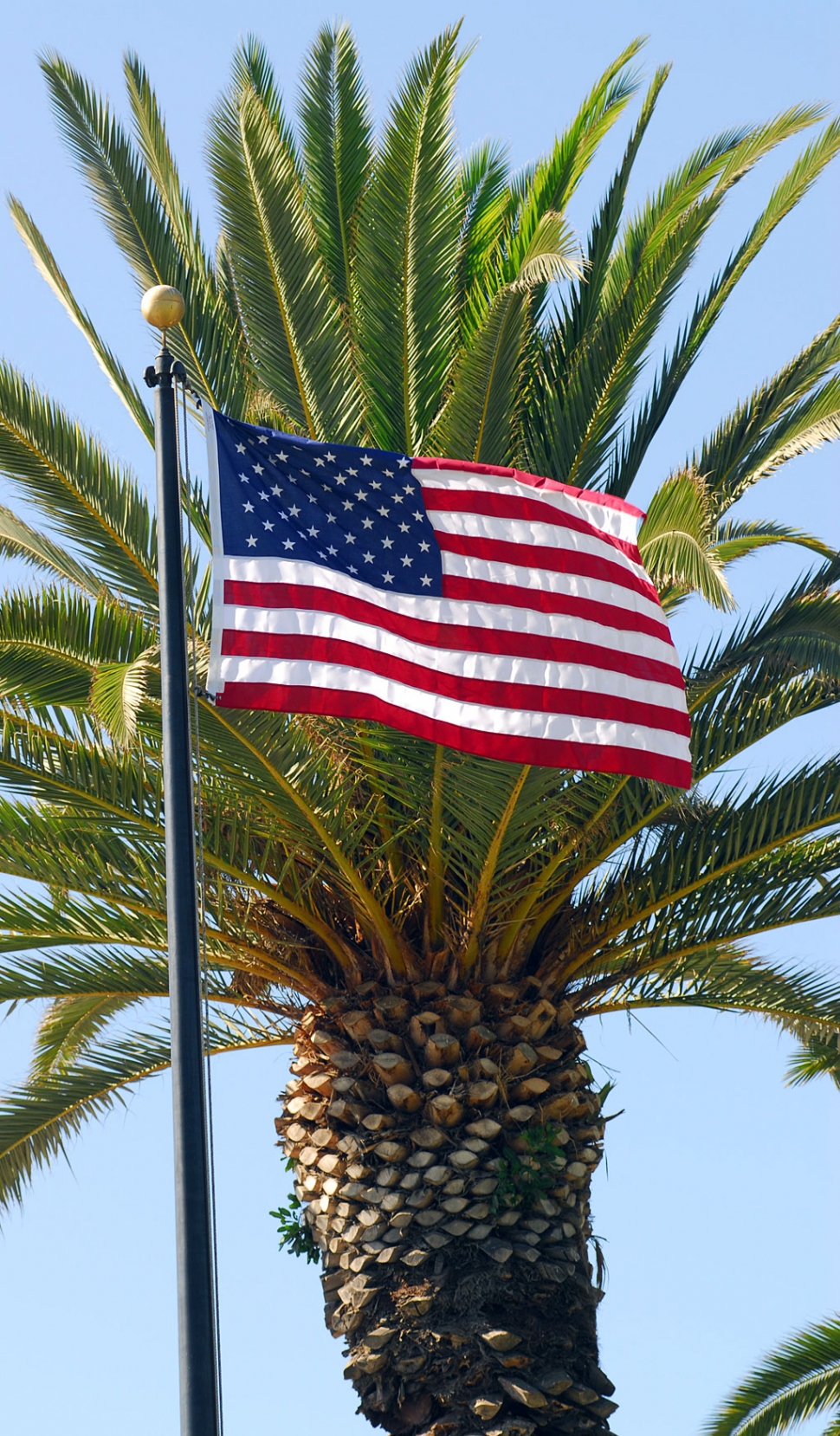 Fillmore city hall has a new flag thanks to Marie Alviz, who called attention to the old, tattered flag flying in front of the golden dome. Thank you also to Chief Petty Officer Garrett Kendrick for his offer to dispose of the old flag with honor, and to the city of Fillmore for responding so promptly in replacing the American flag.