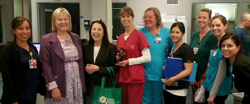Accompanied by Critical Care staff, Lisa Baker (Center) receives Daisy Award.