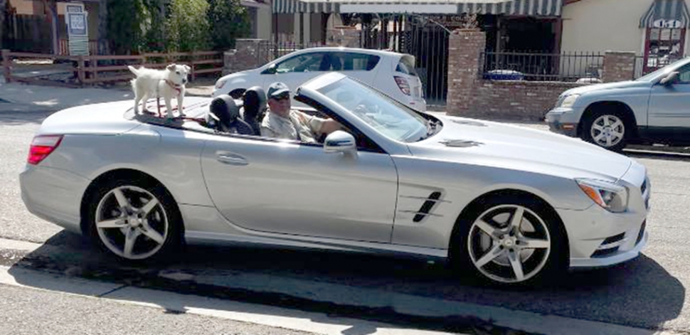 Dave and Crackers ready to hit the road for their cruise.