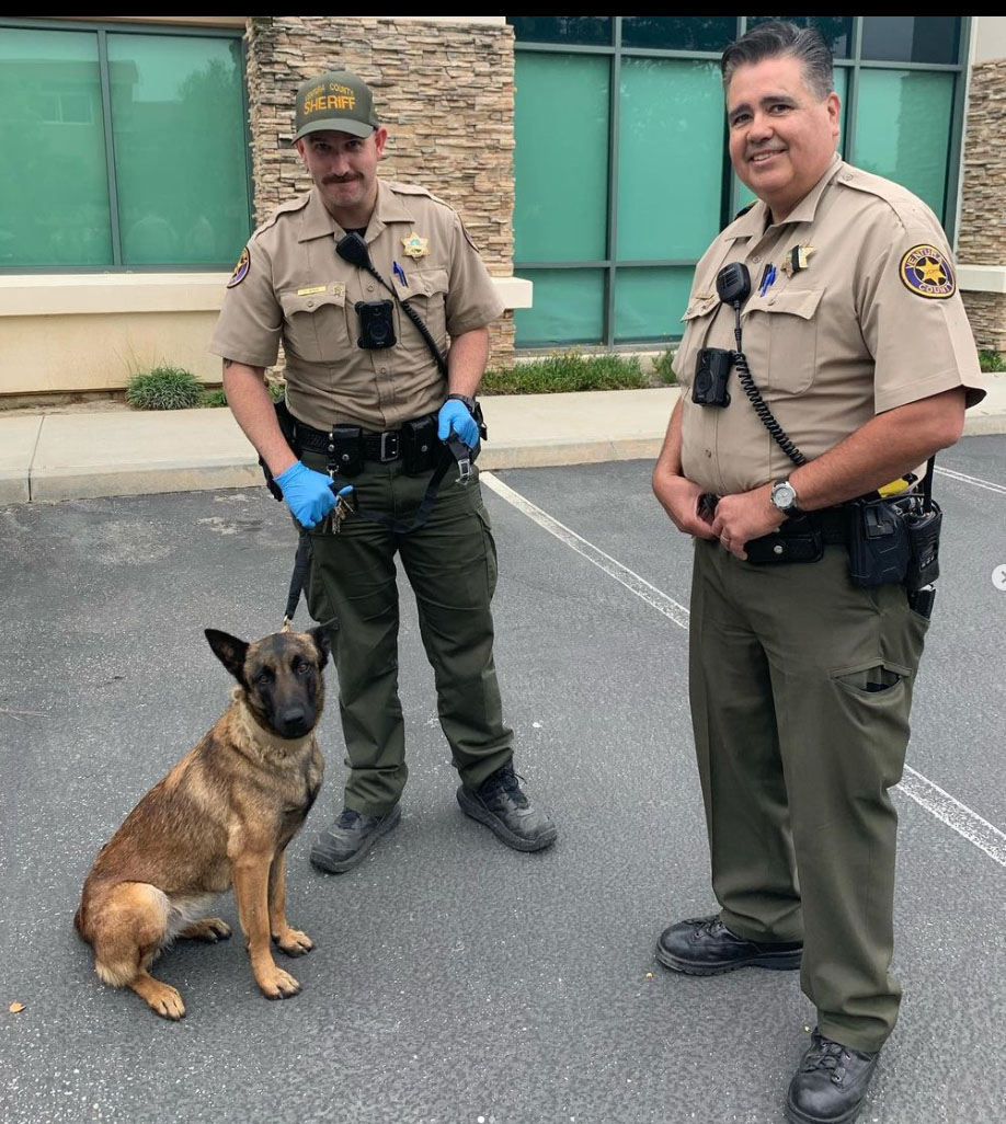 On June 4, 2023, Fillmore deputies conducted an investigation involving the theft of a truck and miscellaneous tools. The victim reported his dog was also in the truck when it was stolen.  After a lengthy investigation, deputies were able to locate the victim’s truck and reunite “Bella” with her owner.  