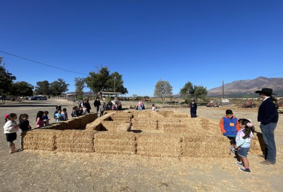 The hay maze was one of the biggest hits.