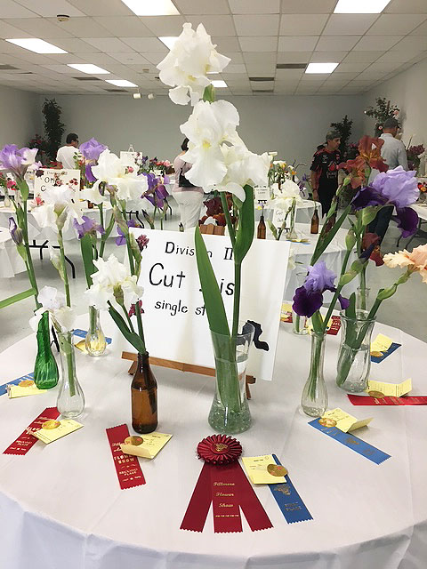 Don’t miss out on the Fillmore Flower Show, April 26th and 27th, at the Fillmore Active Adult Center. Above are arrangements from a previous flower show. Photo credit Jan Lee.