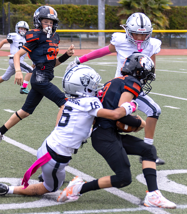 This past Saturday, the Fillmore Raiders’ Mighty Mites, Sophomores and Juniors played at home. Above, the Sophomores faced the Simi Valley Bulldogs, earning an 18-14 victory. Below, the Mighty Mites took on the Simi Valley Bulldogs, falling 48-0. Photo credit Crystal Gurrola. 