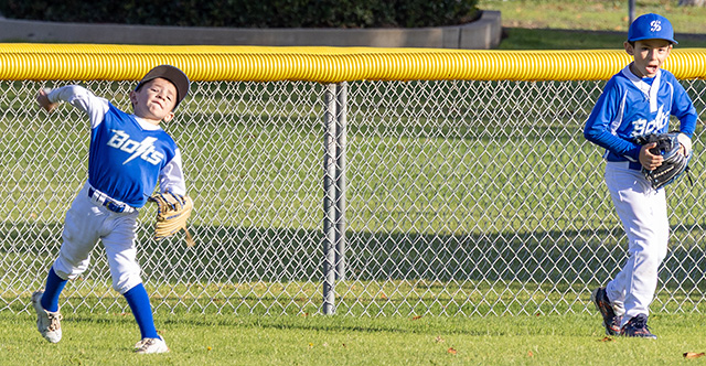 On Sunday, November 9, Fillmore Sespe Bolts 8U played against the Ventura Cobras. Above are photos from the game. Final score, Cobras 8–Boltz 6. Photo credit Crystal Gurrola.