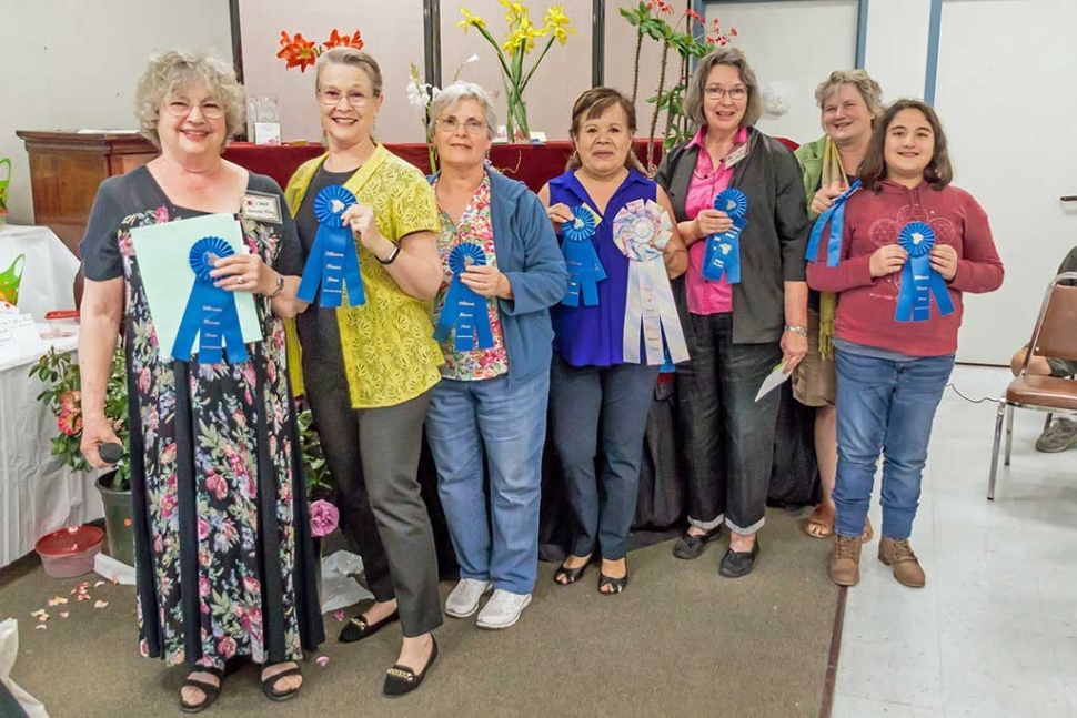 The Fillmore Flower Show took place this past weekend at the Active Adult Center. The Fillmore community gathered with their entries into this year’s competition. Pictured are the winners: Joanne King (Division I: Cut Rose: “Fourth of July”), Jan Lee (Division VI: Miniature Arrangements and Bouquets), Carmen Zemeno (Division III: Other Cut Flower: “Red Amaryllis”), Bene Ambrosio (Best in Show: “Crown of Thorns” (potted plant) & Division IV Bouquets: “White Watsonia”), Linda Nunes (Division V: Arrangements), Regina Stehly (Division II: Cut Iris: “Yellow Spuria”), Mary Nunez (Division X: Youth Composition: Mary Nunez ). Not Pictured are Susan Hopkins (Division VIII: Dish Gardens), and Kimberly Lizarraga (DivisionXI: Youth Art: “Watercolor Rose”). Photos courtesy Bob Crum.