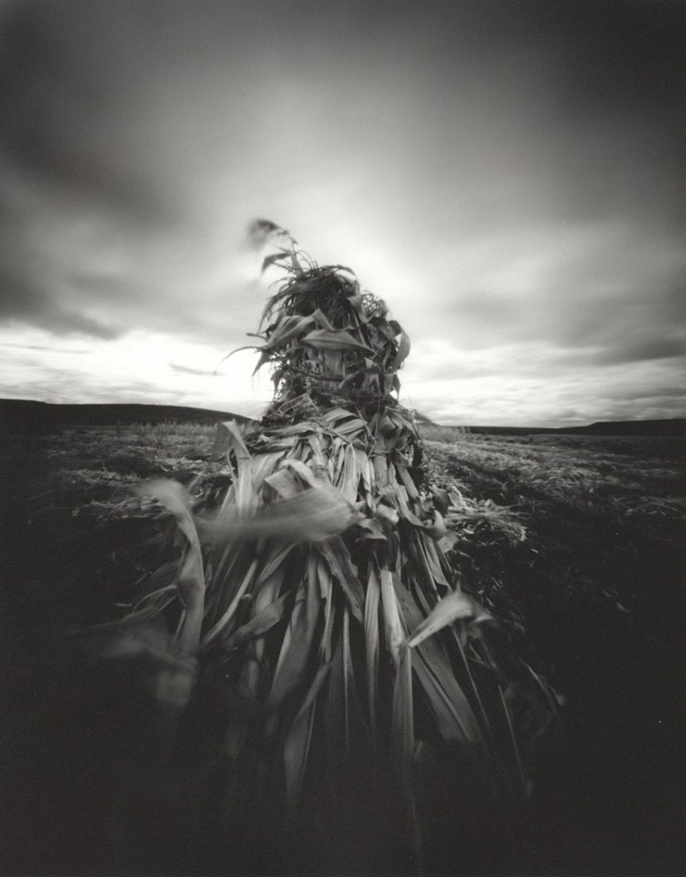 Isabel Gomes, Cornstalk, (2003), pinhole photograph