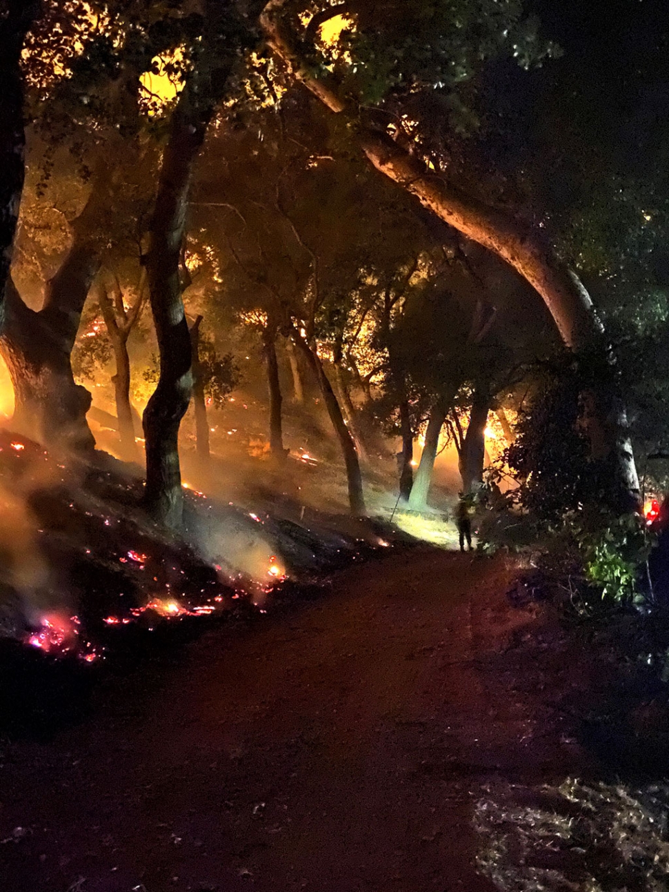 This photo was taken by a firefighter at the Hathaway Gate between Lake Piru and Hasley Canyon.