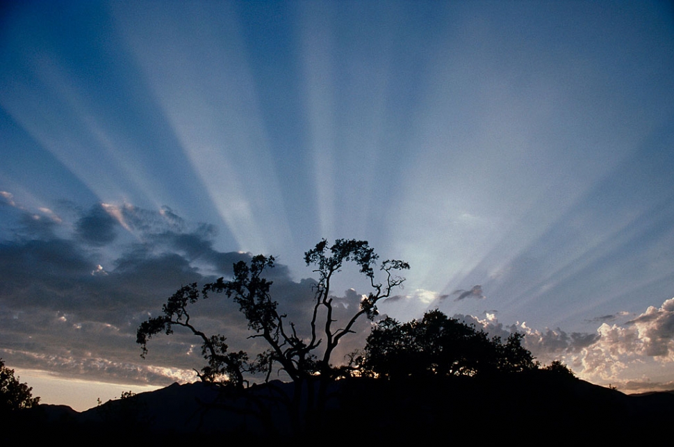 "Heavenly Rays" by Phil Harvey