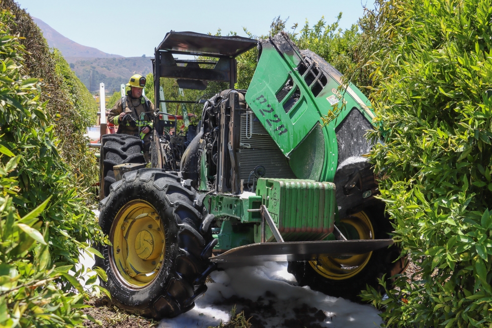 On Friday, July 11th, at 12:05 p.m., the Ventura County Fire Department was dispatched to a reported vehicle fire in the 500 block of Guiberson Road, Bardsdale. Arriving firefighters located a tractor fully engulfed in flames in between the orchards. Firefighters were able to extinguish the fire with the assistance of Fillmore City Fire Department. Cause of the fire is under investigation. Photo credit Angel Esquivel.