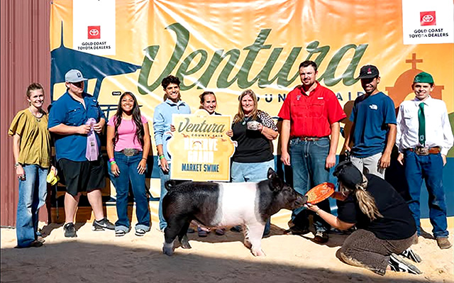 Congratulations to Fillmore FFA member Olivia Nava on 2026 Reserve Grand Champion Hog.