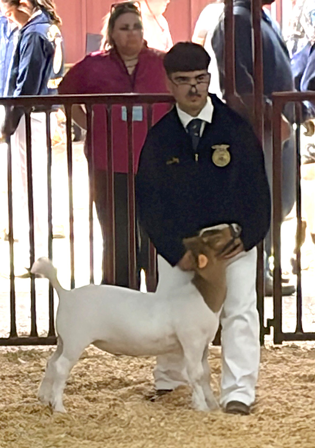 Pictured is Fillmore’s Alexander Paz, showing his goat during the Market Showcase.