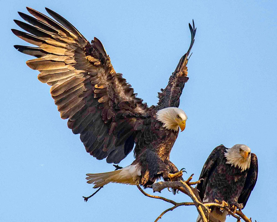 Photograph by Photographer Bob Massey.