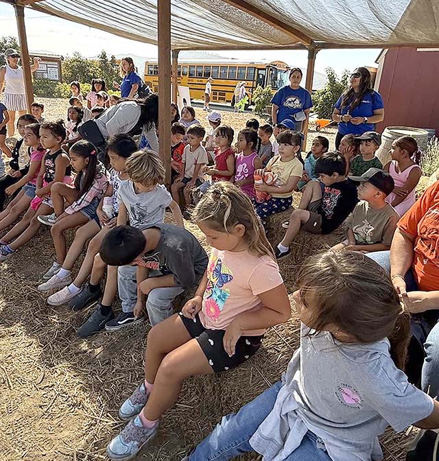 Our Piru Summer School students enjoyed a fun and educational visit to Petty Ranch, where they explored agriculture through hands-on learning. Thank you, Petty Ranch, for a wonderful experience! Posted July 22, 2026, at 1:53pm, courtesy https://www.facebook.com/photo?fbi d=1831591081146725&set=pcb.1831591341146699.
