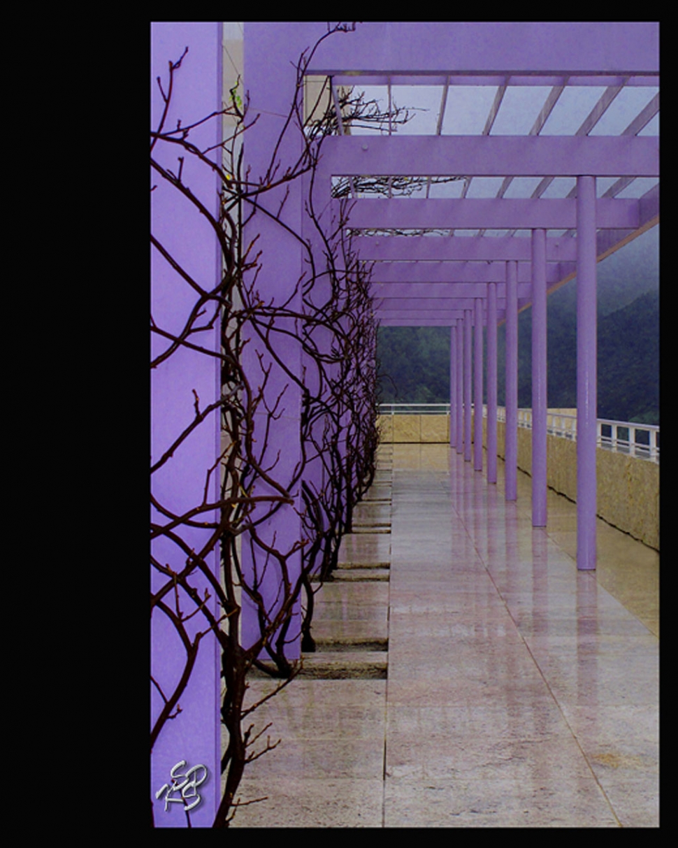 'Purple Corridor of Mystery' by Carmelita Miranda