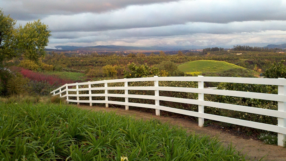 Rancho de las Floras "Rancho de las Flores garden view" photograph taken by John Schoustra, owner.