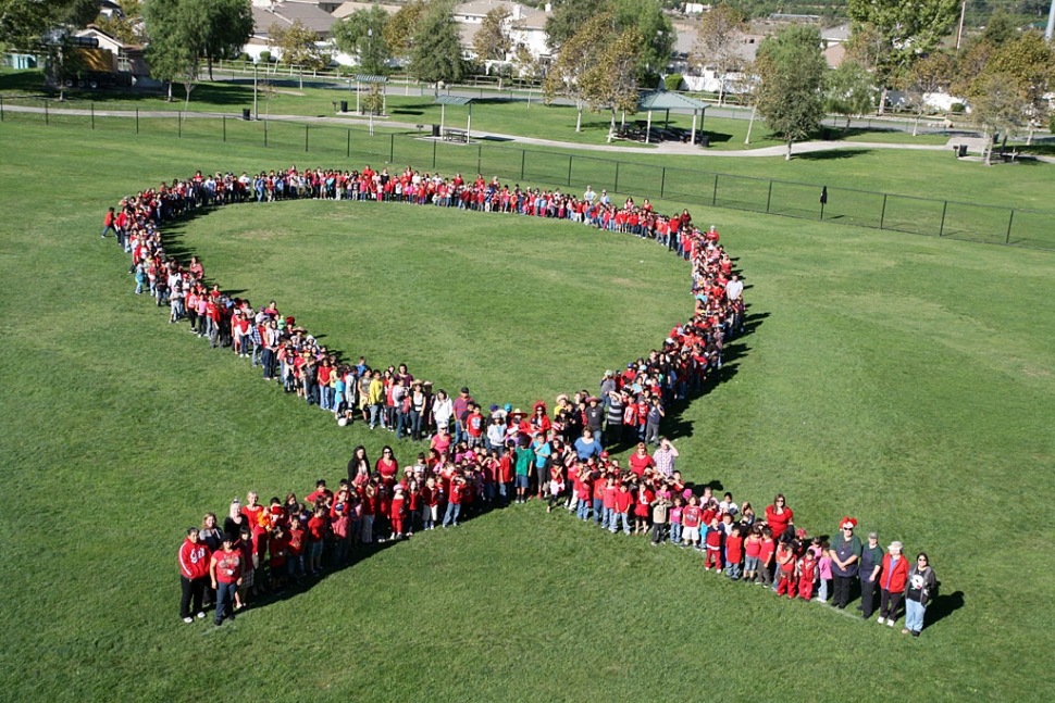 Mountain Vista Students and Staff are celebrating Red Ribbon and making a school wide commitment to “Say NO to Drugs”!
