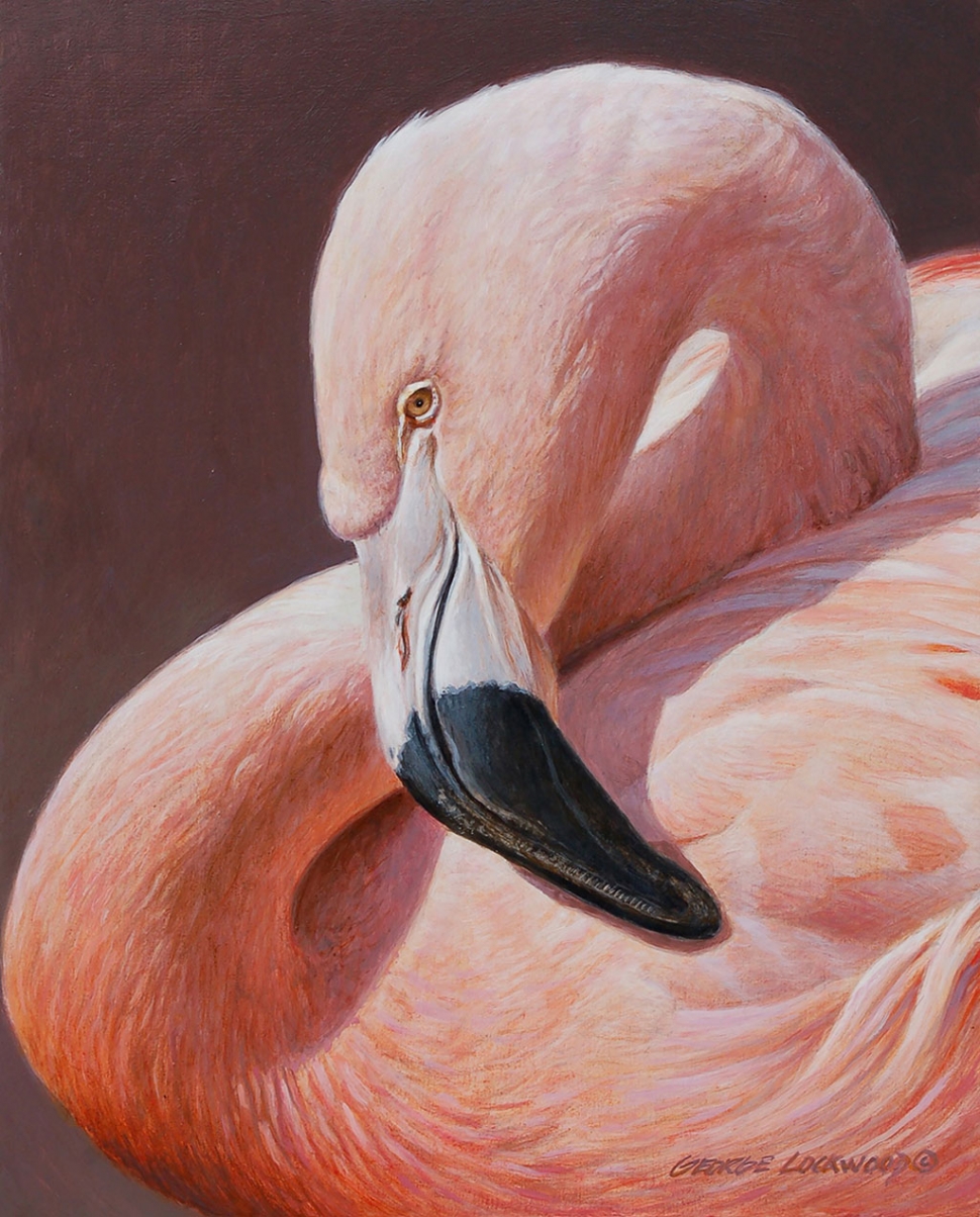 “Soft Light – Flamingo” by George Lockwood, acrylic on board, 10” x 8”, Collection of the artist. 