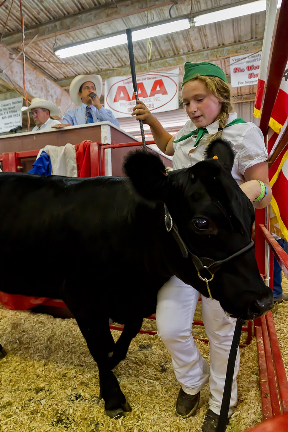 Samantha Points, 14, Bardsdale 4-H, raised a replacement heifer that was awarded 4-H Reserve Grand Champion and received a top bid of $3,000 at the auction.