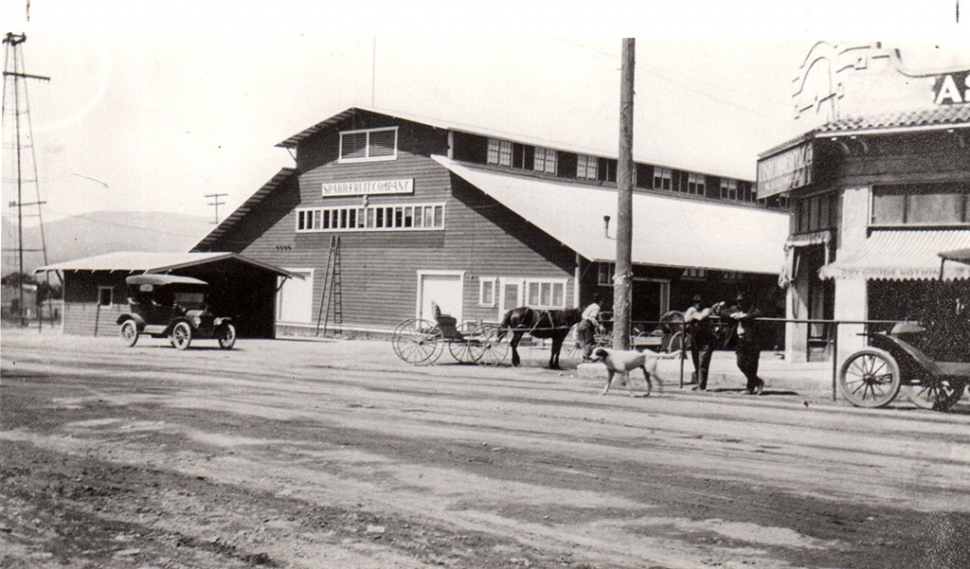 Pictured above is the Sparr Packing House, 1915 (it had been replaced in 1913 after an earlier fire). 