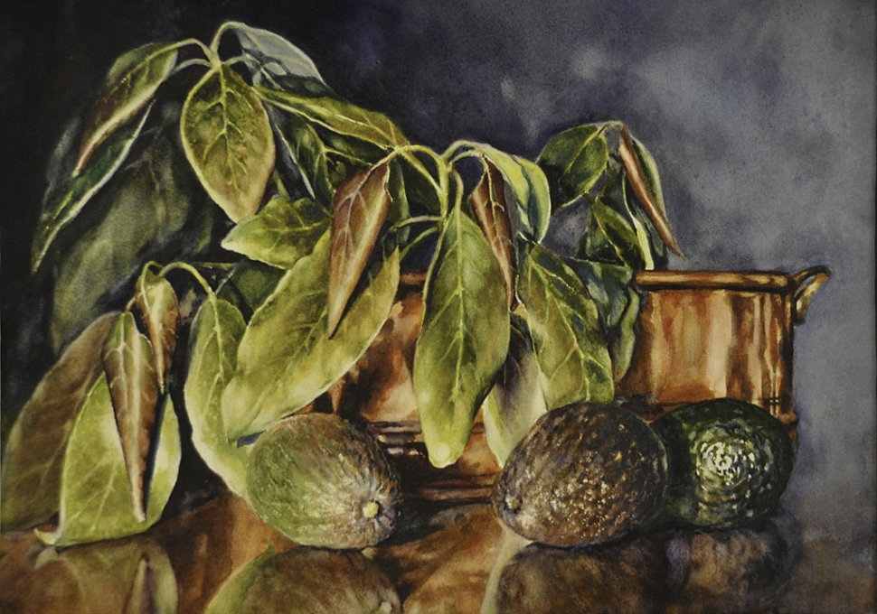 “Sprigs of Avocado” by Gail Faulkner, watercolor, 16”by 20” (frame size)
