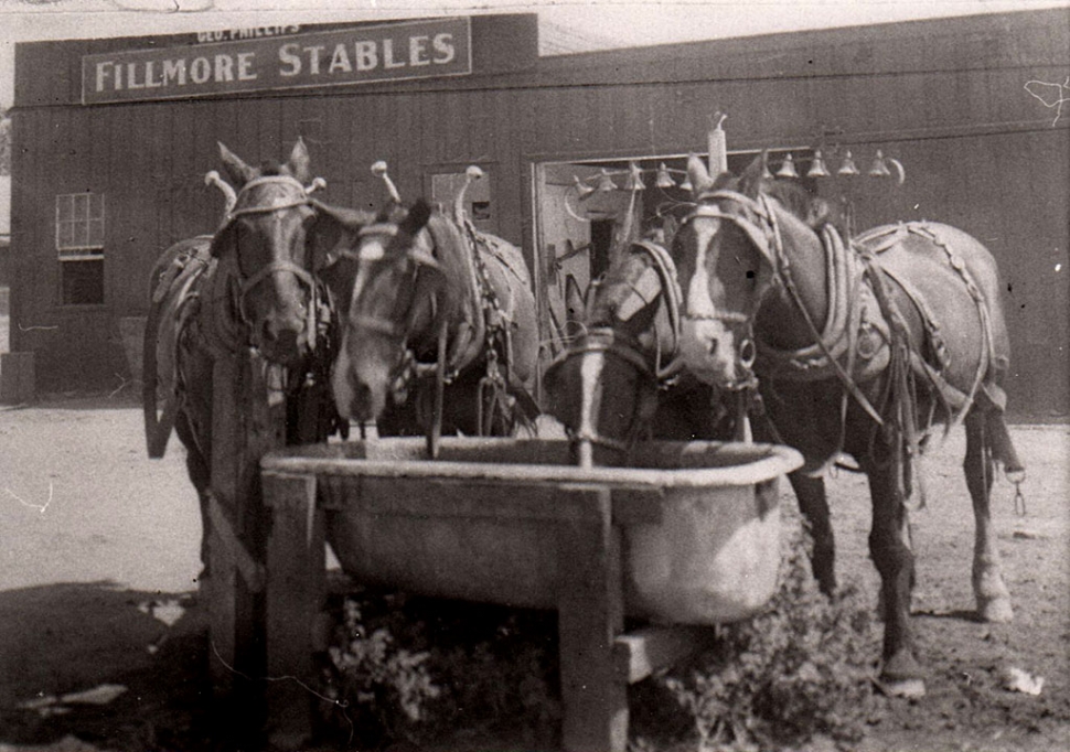 Bathtub trough for the horses. 