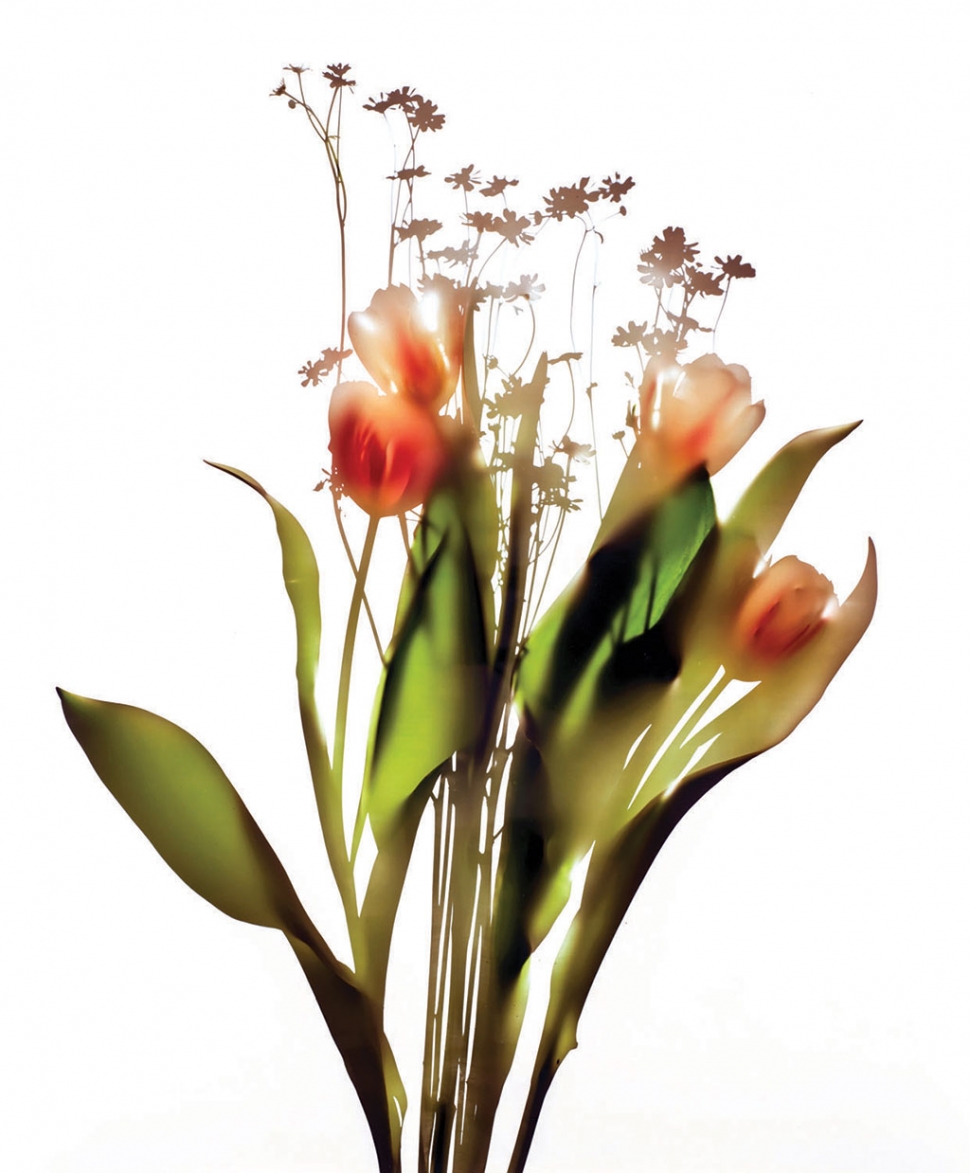 "Tulip Bouquet" by Carol Henry 
