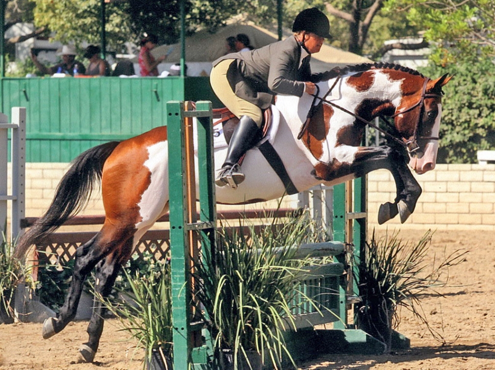 Taurie Banks, of Fillmore, has earned the Instructor Certification for the United States Eventing Association.