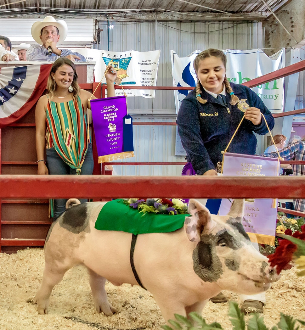 Pictured is Jordyn Blankenship who graced the auction ring with her Reserve Grand Champion/FFA Champion FFA market swine named Ruger. High bidder for Ruger paid $9.00 a pound.