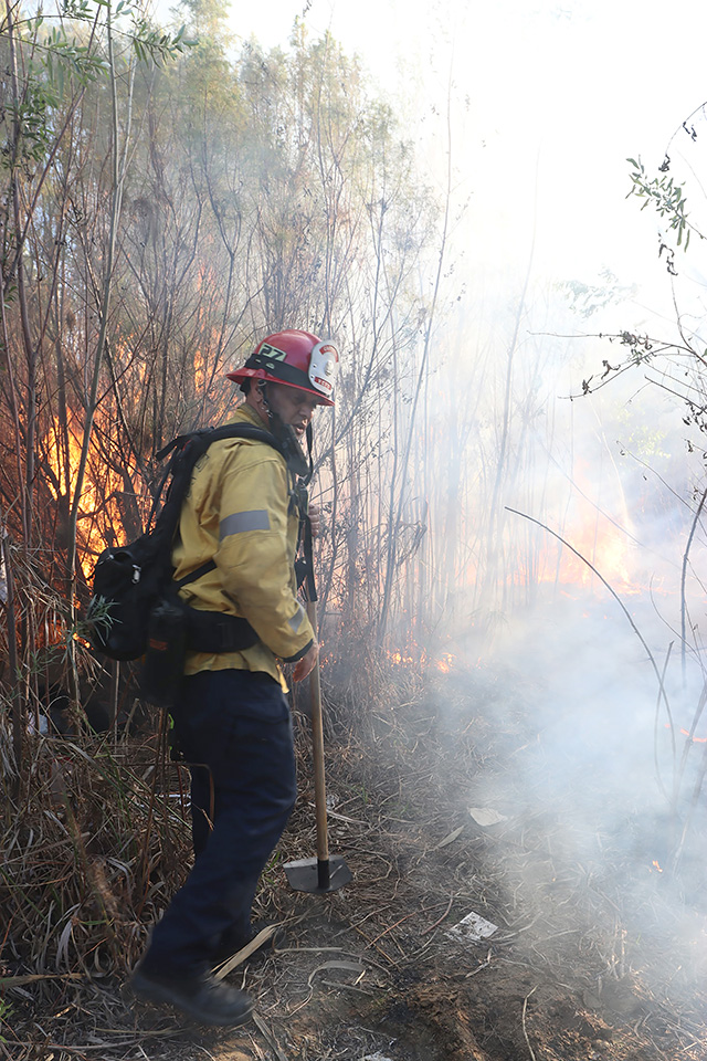 Photo credit Sebastian Ramirez.