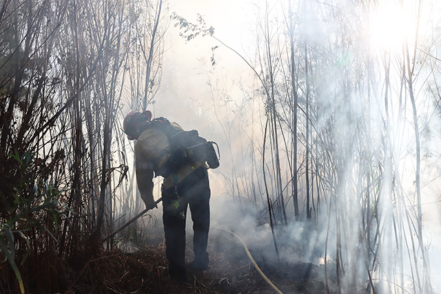 Photo credit Sebastian Ramirez.