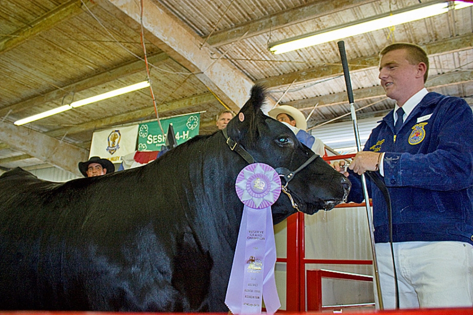 Aaron Largen Fillmore FFA- FFA Grand Champion Market Steer and Reserve Grand Champion Market
Steer.