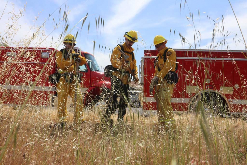 The Fillmore Fire Department would like to remind all residents that weed abatement for fire hazards is required all year long. The heavy rains from this past winter, combined with the recent warm days have accelerated the growth of many grasses and weeds. These grasses and weeds are drying out and creating potential fire hazards early this year. A small grass fire can easily spread to a house and other structures if there is no clearance. Formal weed abatement notices will be mailed out next month. Submitted By Sebastian Ramirez.