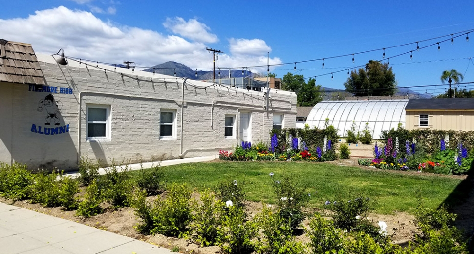 The Fillmore Alumni office planted a beautiful flower garden on the east side of their property, and had some concrete work done. A new shed was added to the back of their property as well.