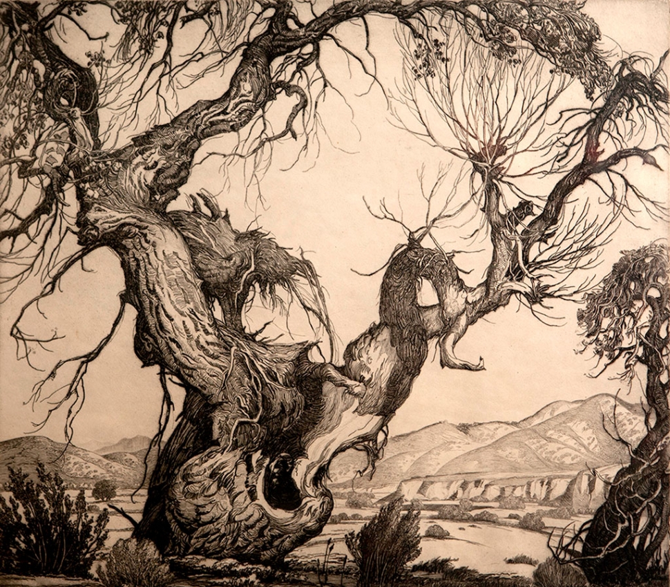 “Old Tree” by Cornelis Botke, 1931, etching on paper, 12.5” x 13.5”, Collection of William Orcutt.