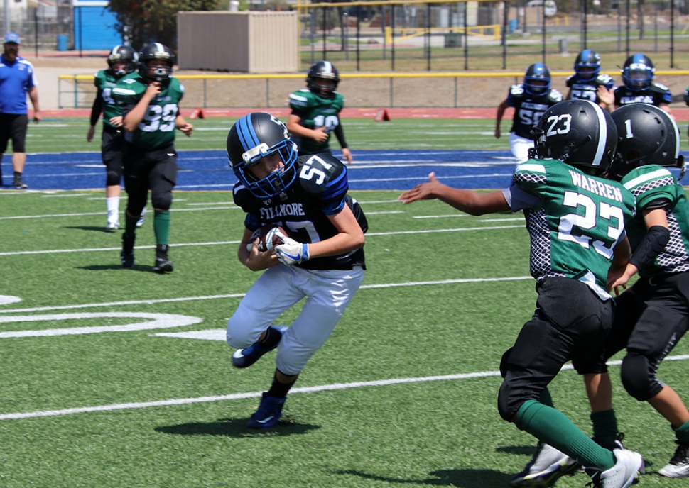 
Saturday, September 1st the SoCal Fillmore Bears hosted their 2nd week of games for the 2018 Season. The game results for this past Saturday are as follows: SoCal Fillmore Bears Gremlins vs. Ventura Packers 30-12, Bears. SoCal Fillmore Bears Pee Wee vs. Santa Barbara Sharks 30-0, Bears. SoCal Fillmore Bears Bantams vs. Burbank Vikings Green 37-18, Bears. SoCal Fillmore Bears Juniors vs. Ventura Packers 52-20, Packers. SoCal Fillmore Bears Seniors vs. Ventura Packers 28-0, Bears. All So Cal Fillmore Bears Youth Football & Cheer Photos by Crystal Gurrola.