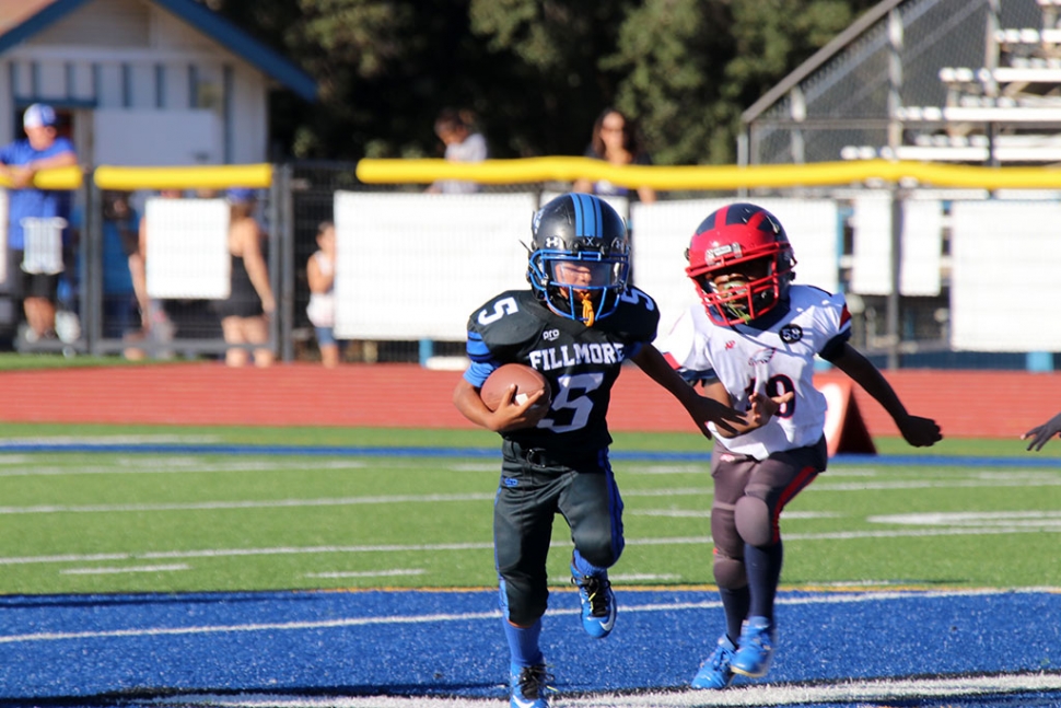 Socal Fillmore Bears Youth Football The Fillmore Gazette