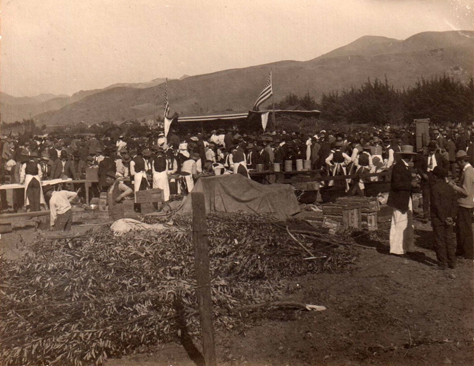1909 picnic celebrating the opening of the Bardsdale Bridge.