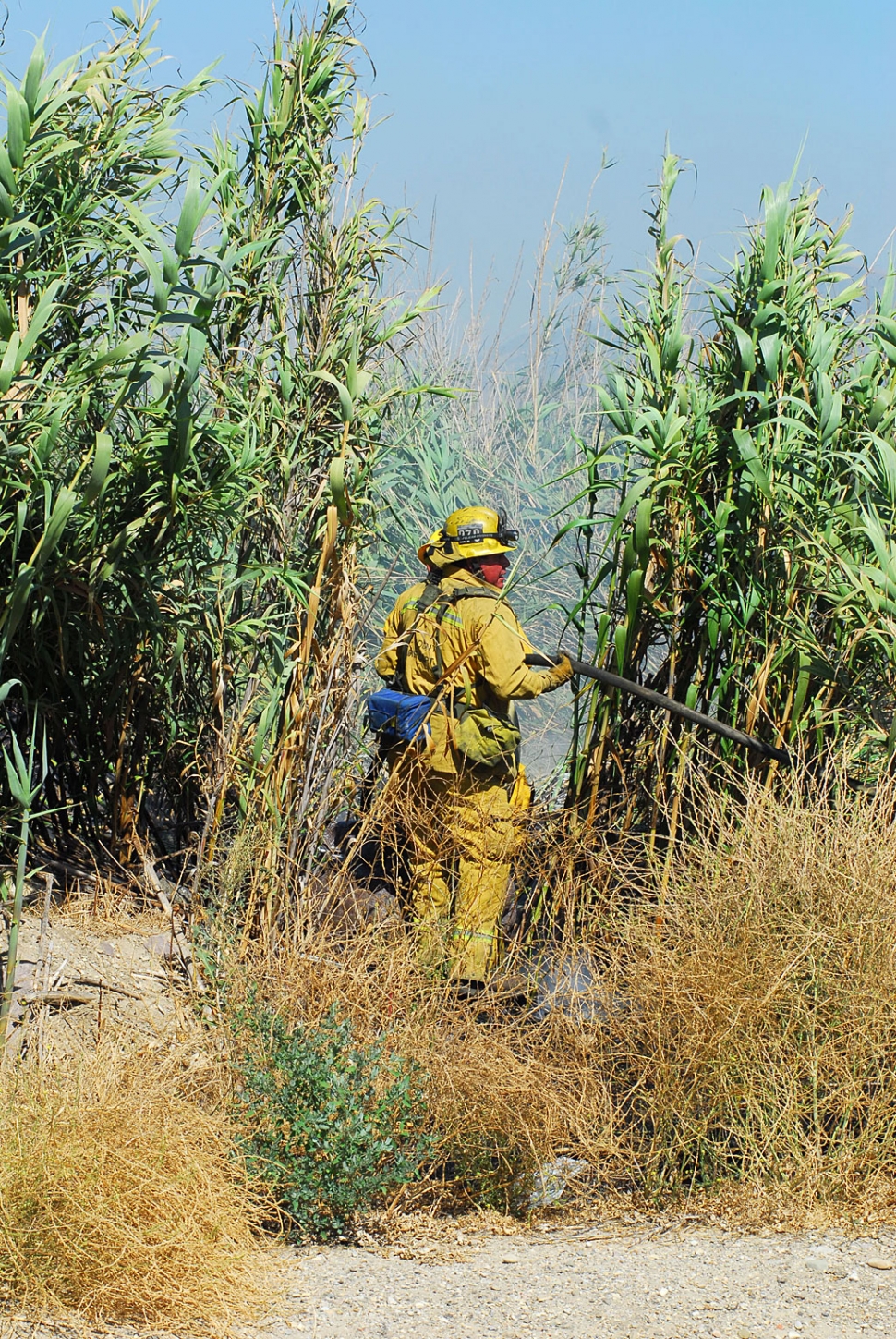 Thursday afternoon, about 3:00 p.m., the Fillmore Fire Department responded to a small brush fire in the bamboo-like foliage at the northern end of the Highway 23 bridge. About a quarter acre was involved. Minor traffic congestion resulted for about an hour. A Sheriff’s helicopter was dispatched for a short time. Cause of the fire was not disclosed.