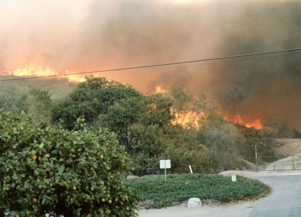 Pictured is the Clampitt Fire coming down to Guiberson Road. Photos courtesy Fillmore Historical Museum.