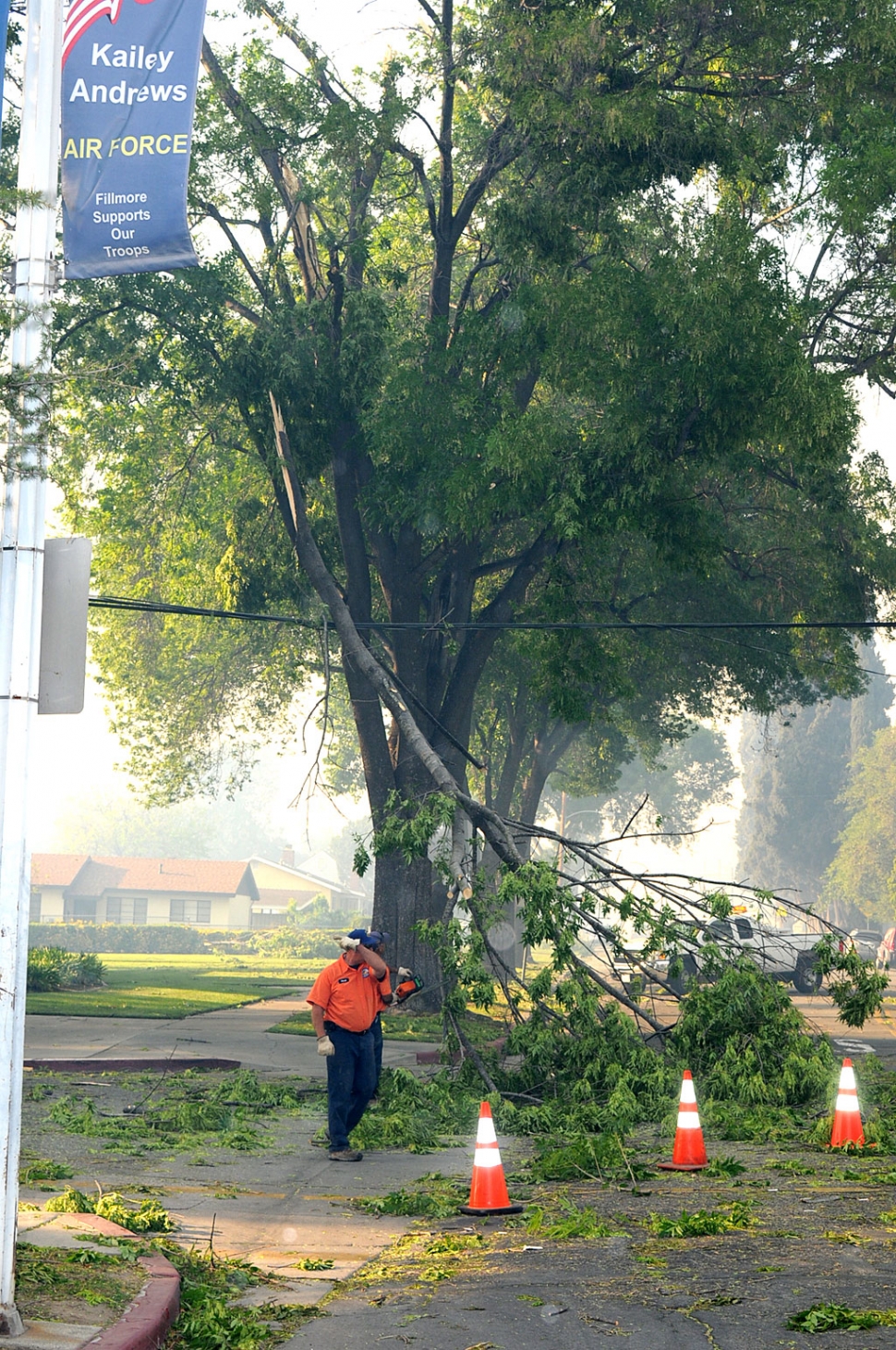 Fllmore City Crews worked for days to clean up downed trees and debris like this one in front of the Fillmore Library, corner of Central Avenue and 2nd Street, Monday. The wind storm that caused such havoc also fueled the Goodenough Fire.