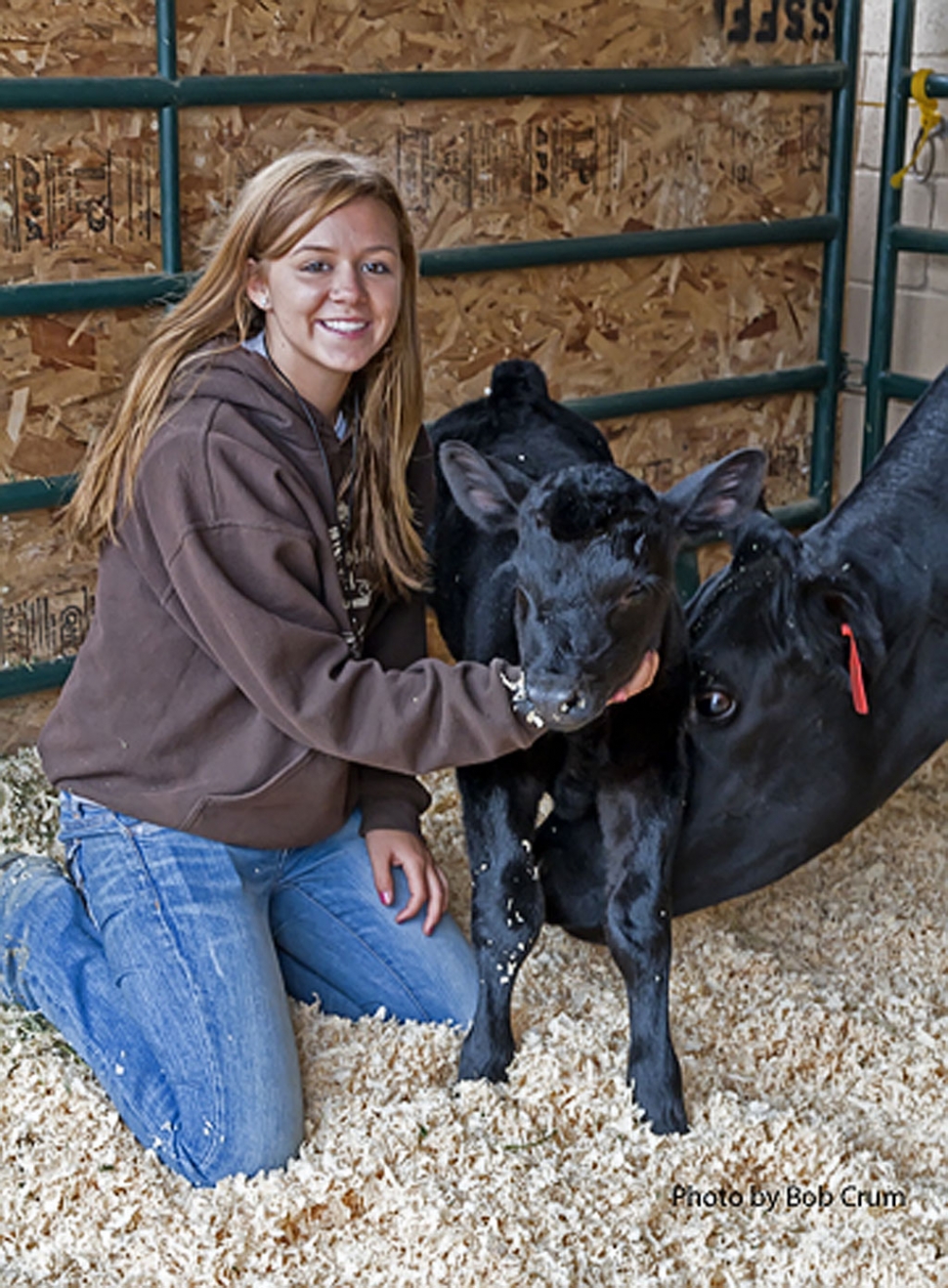Alexus Galassi,16, Vice Presidentof Fillmore FFA is pictured with her heifer Talula and the baby Kaliapi who was born at the fair this past week.