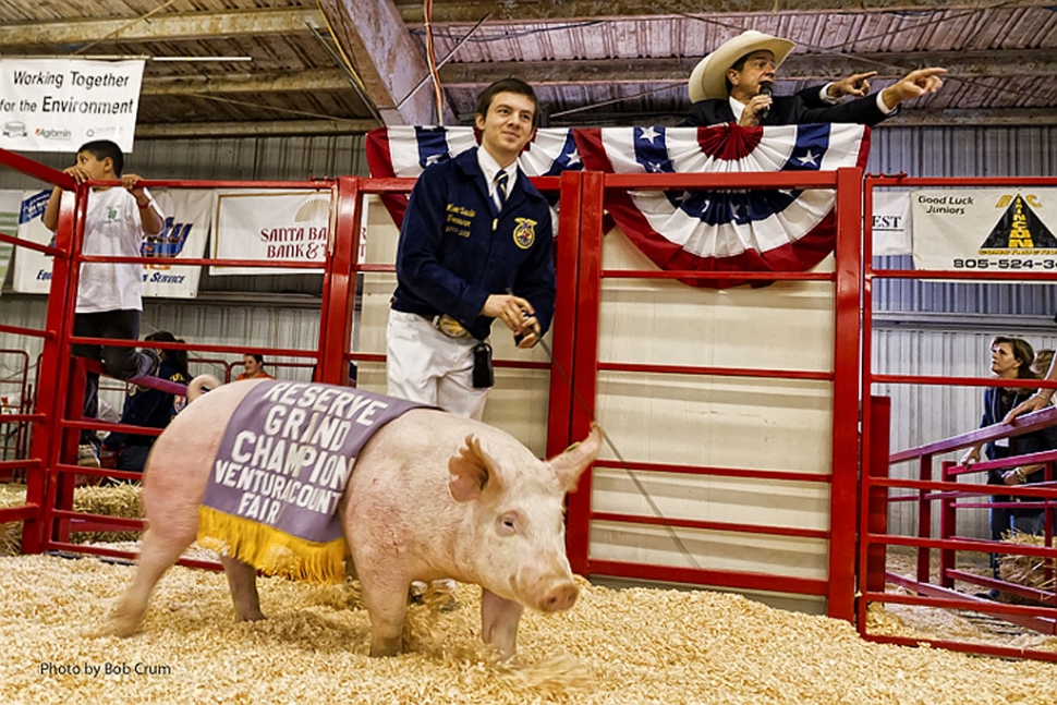 Marc Zavala, 17, Fillmore FFA, stands with “Zeus” a pig who won Reserve Grand Champion at the fair. 
