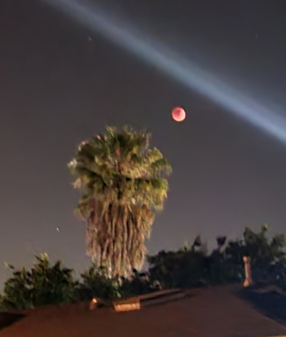 Photo taken from Santa Clara Street behind Fillmore’s 7-Eleven.