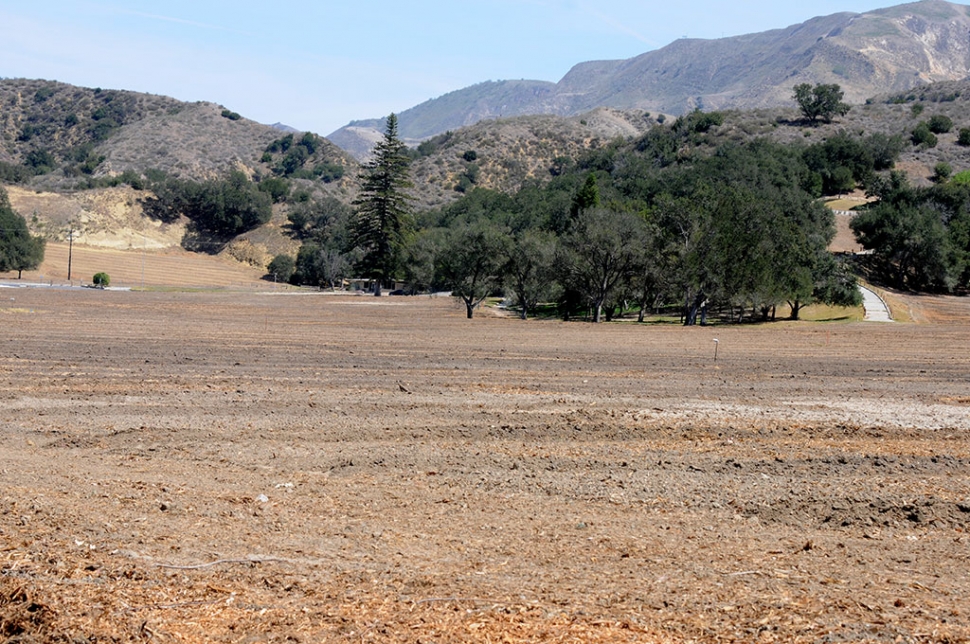 The Elkins Golf Course has recently become Elkins Ranch. The greens, clubhouse and cafe are no more and avocado orchards will soon be planted. Many people will miss the golf course but most would agree avocado trees will be much better than more houses. Thanks for the memories, Elkins.