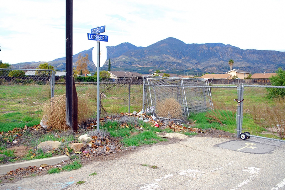 The old Fillmore Insectary lot is still undeveloped nearly five years after its closing in July 2003. The empty lot now sports weeds, trash, tumbleweeds and broken fences.
